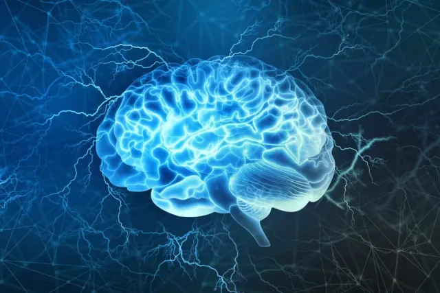 An illustration of a human brain